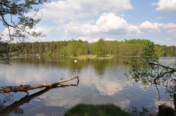 Jezioro Dybrzk